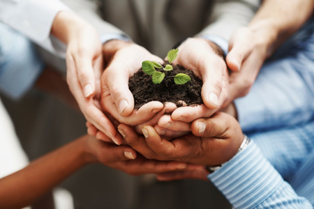 Multiple pairs of hands holding dirt with a plant. 