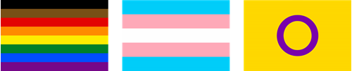 8-stripe ‘More Colour, More Pride’ Flag, Transgender Pride Flag and Intersex Pride Fla