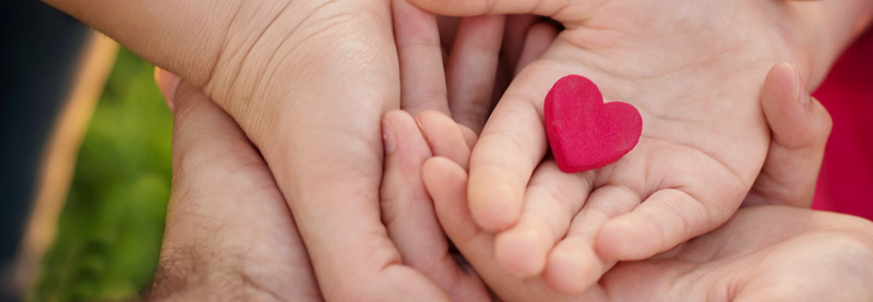A child's hands cradled by adult hands and holding a small red heart shape